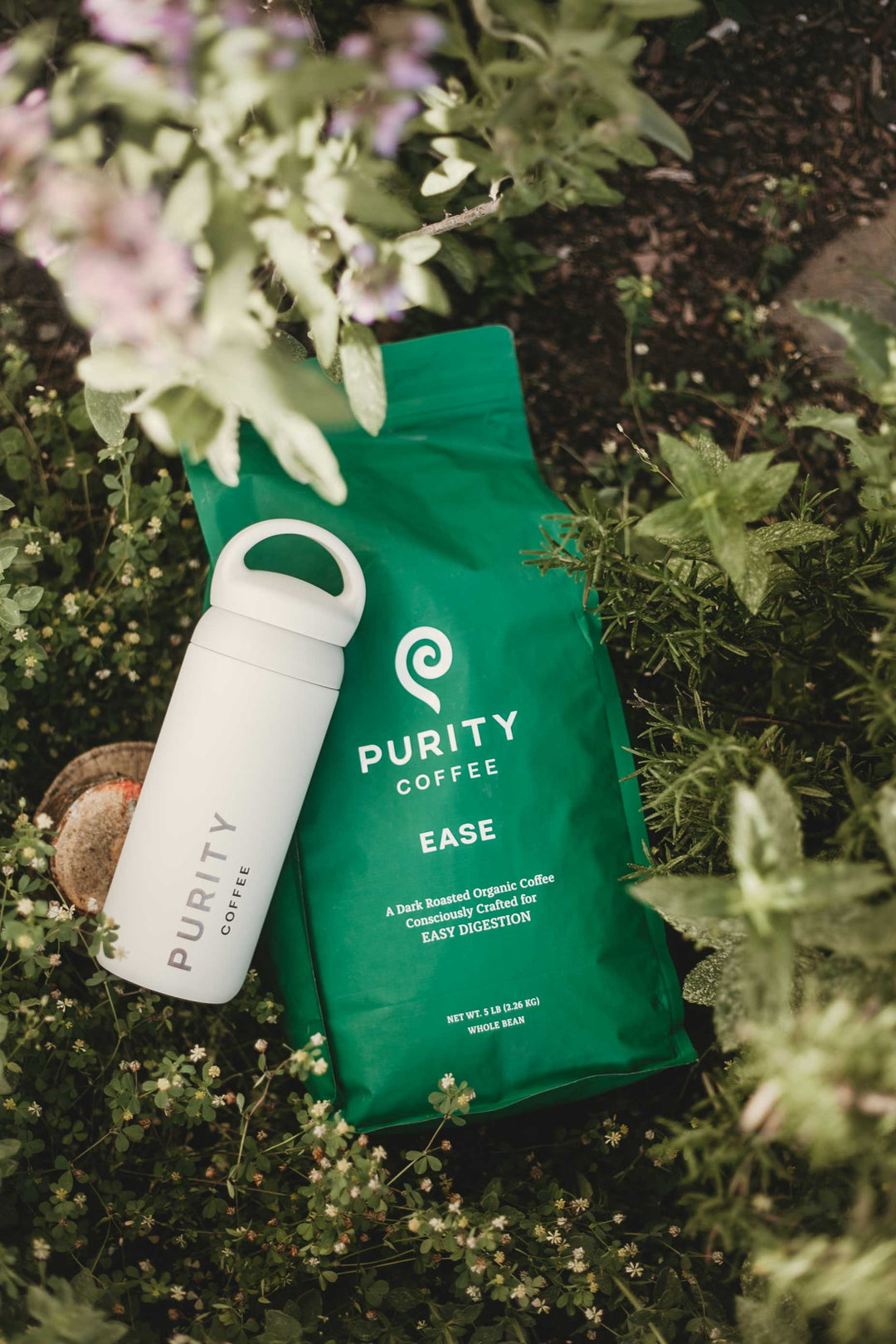 Purity Coffee