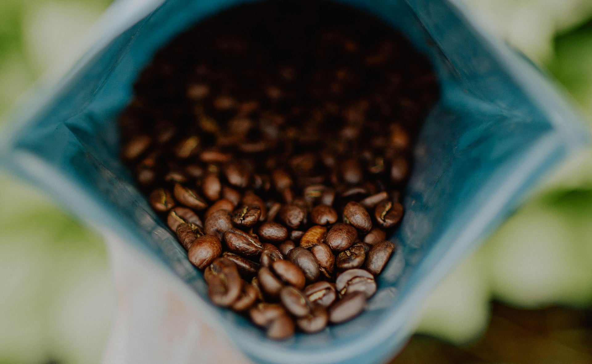 Aponte Inga Medium Roast Whole Bean Coffee